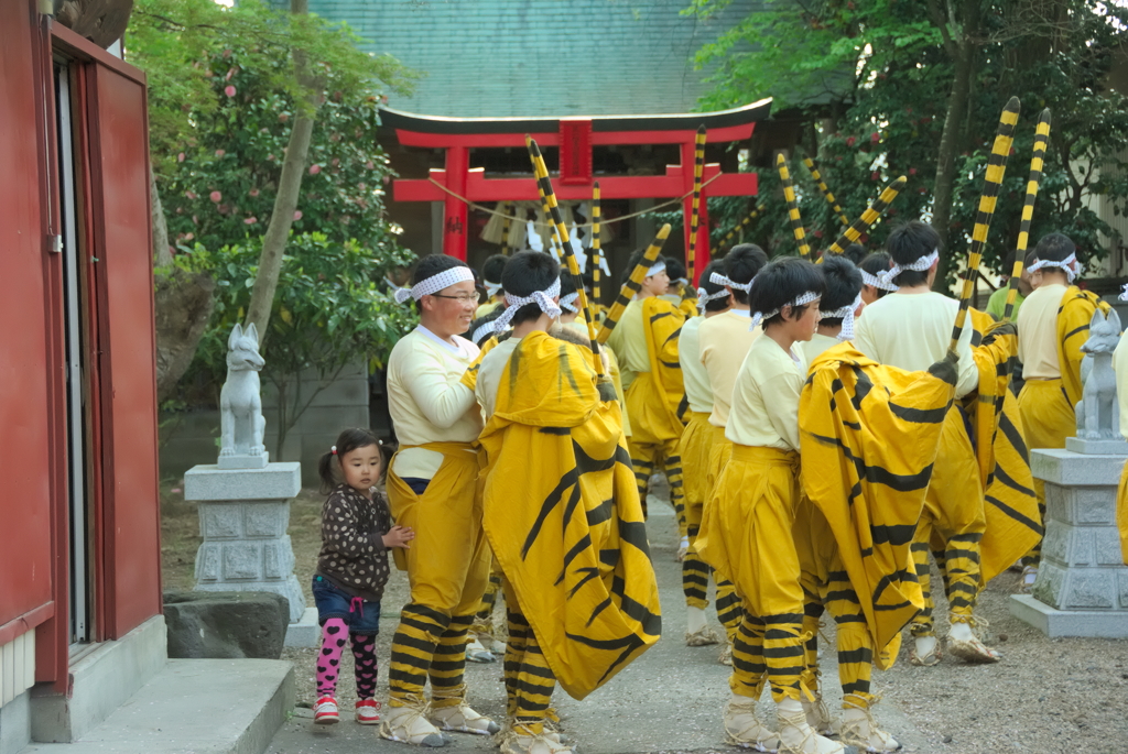 火伏の虎兄妹