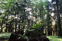 眼日山立山寺