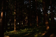 眼日山立山寺
