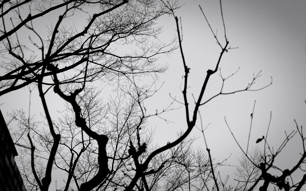 wall_002