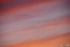 黄昏を往く飛行機雲