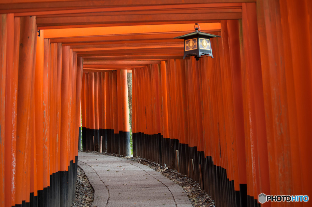 千本鳥居