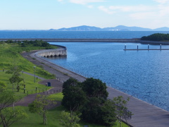 青