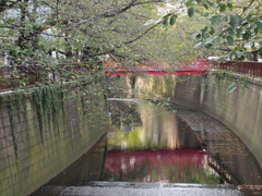 目黒川
