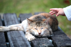 そーっと、ね
