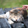 そーっと、ね