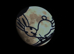 つきとうさぎ