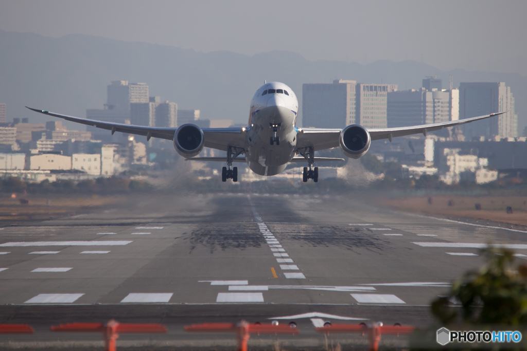 大空に翼広げて