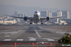 大空に翼広げて