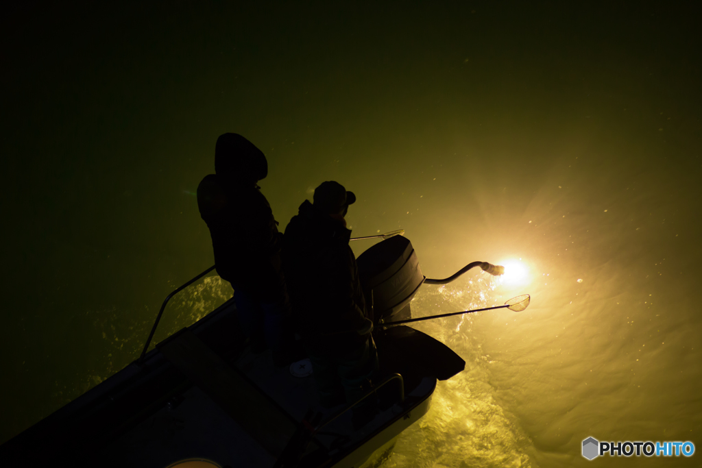 初　深夜のシラス漁撮影