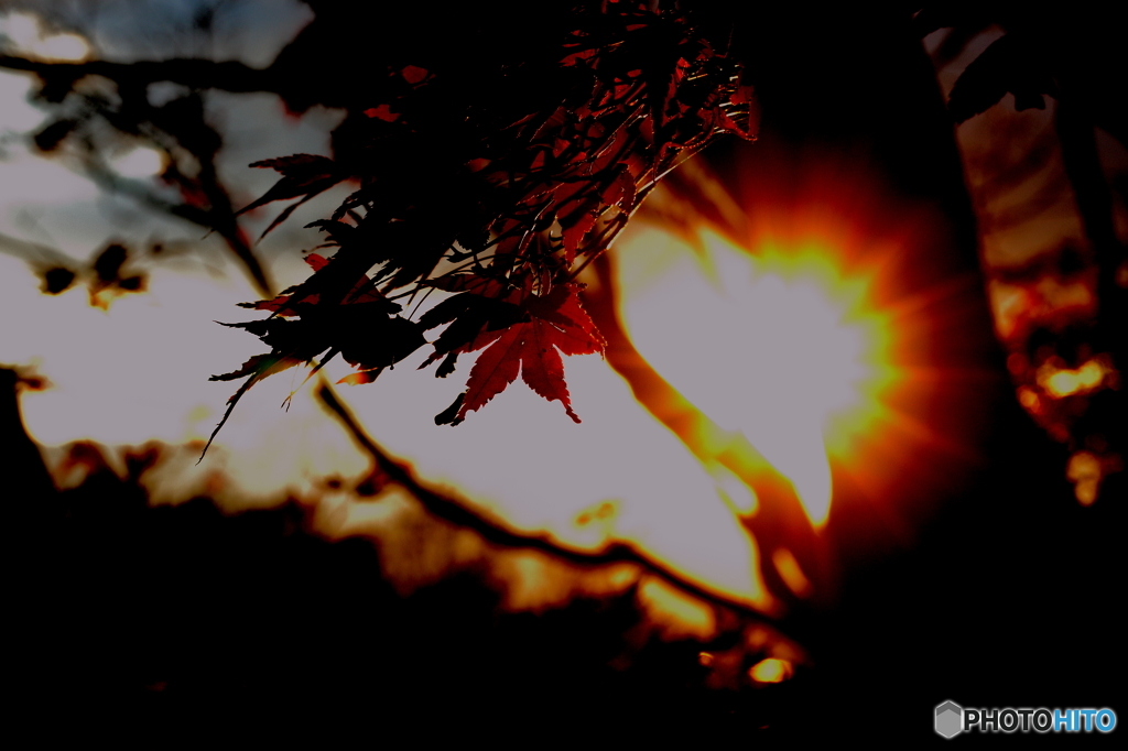 Sunshine