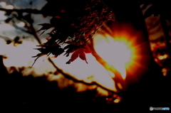 Sunshine
