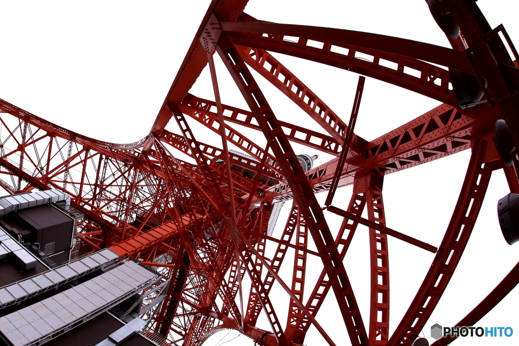 脚の中から　こんにちは