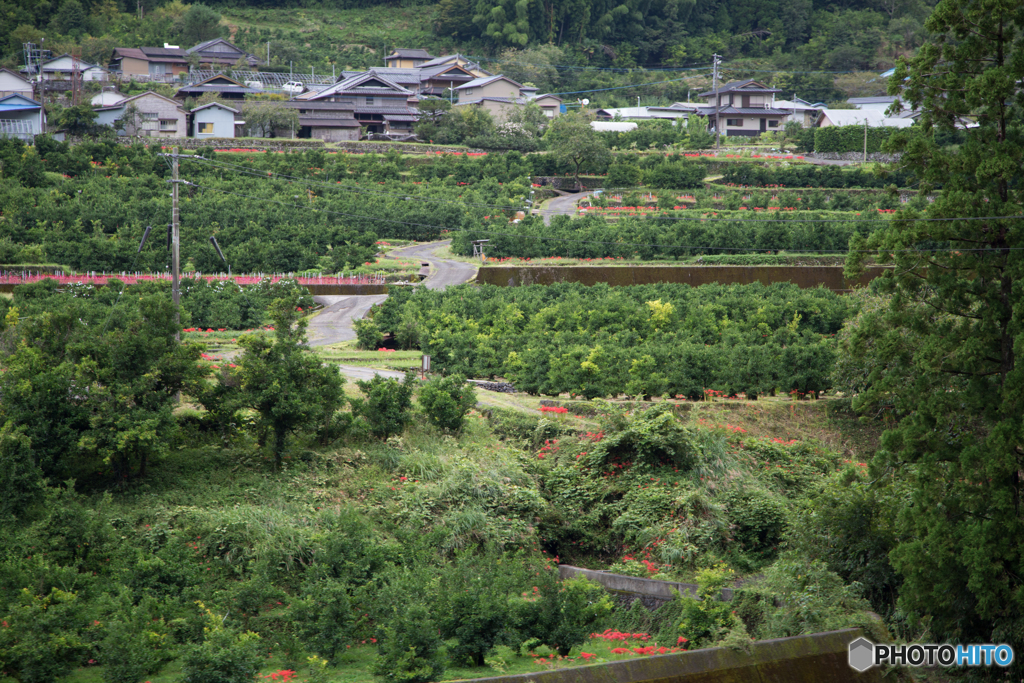 山あいの秋模様