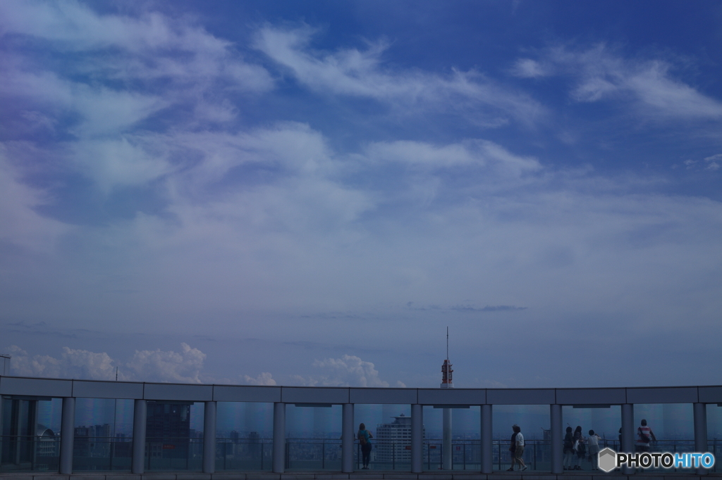 大空散歩！！
