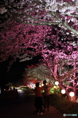 春爛漫　桜満開　家族円満！！