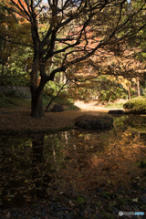 山崎の庭園