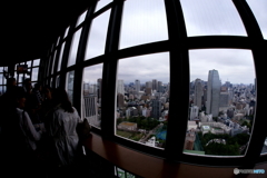 スカイツリーは雲の中