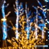 Illuminations-1