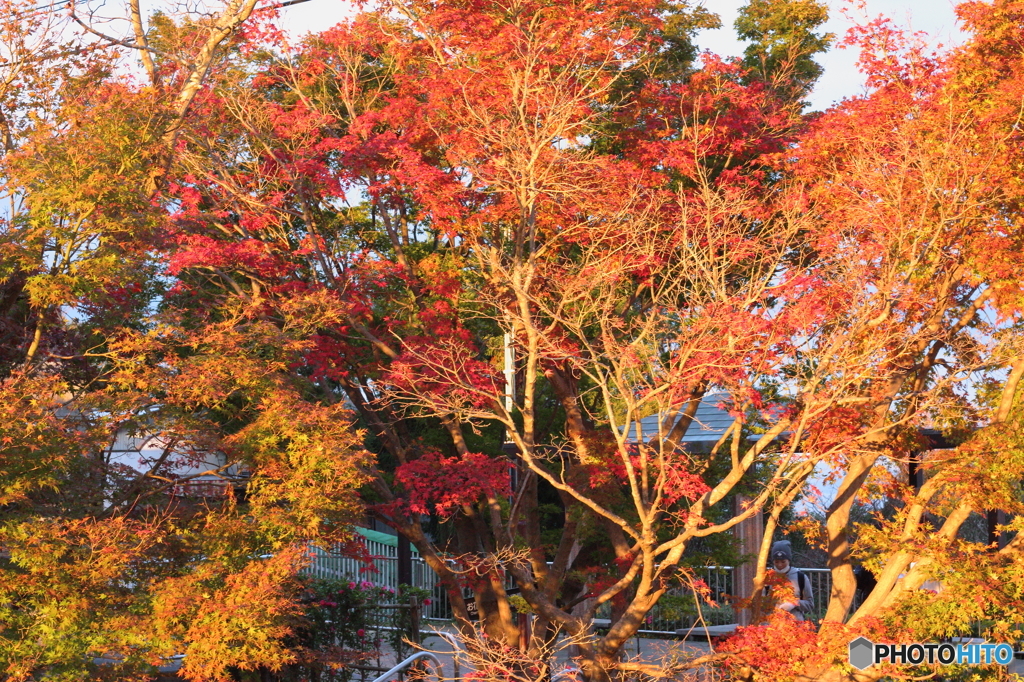 眉山山頂-4