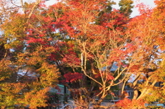 眉山山頂-4