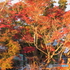 眉山山頂-4