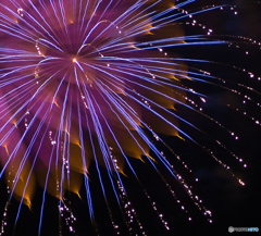 Art Hanabi