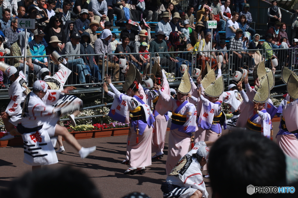 Hanaharu Fes-3