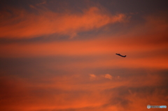 夕焼けの中のボンバル機