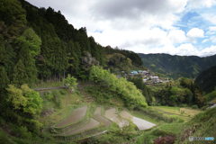 山間の棚田風景