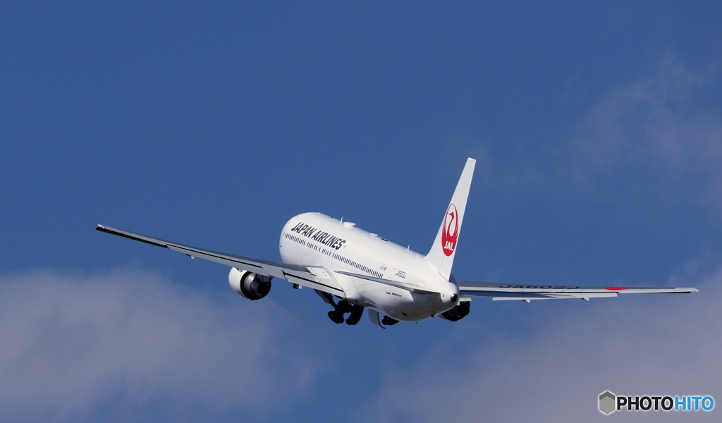 頭の上を良く見ると!!