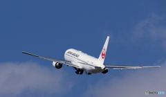 頭の上を良く見ると!!