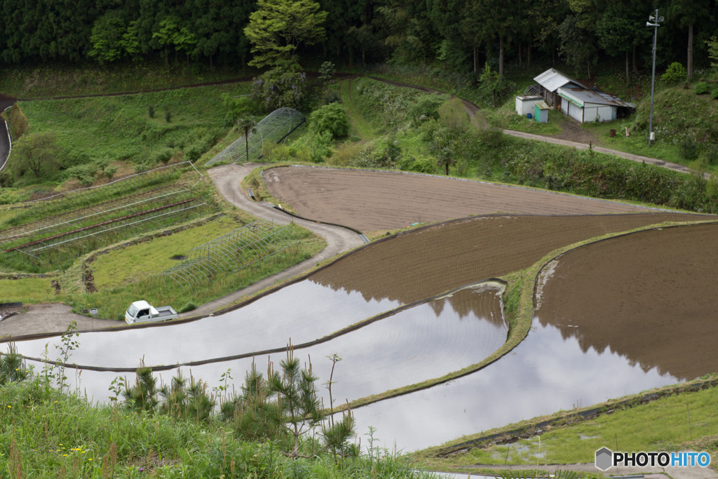 棚田と写り込み