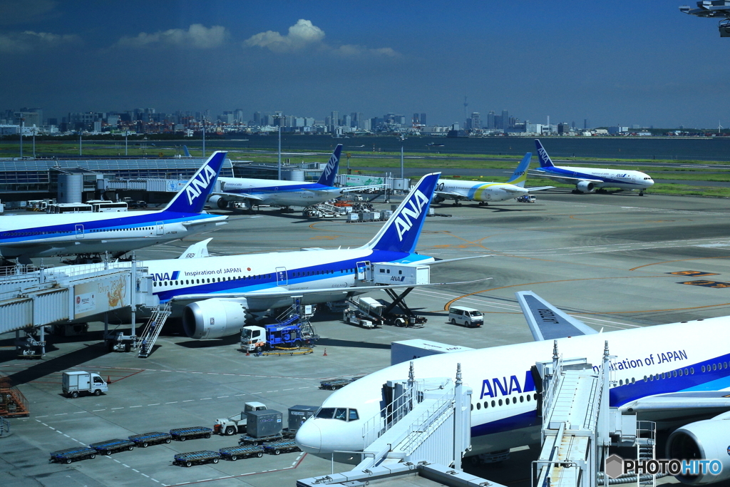 ＡＮＡ機の集会！