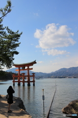 厳島神社　大鳥居！！