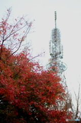 眉山山頂-1