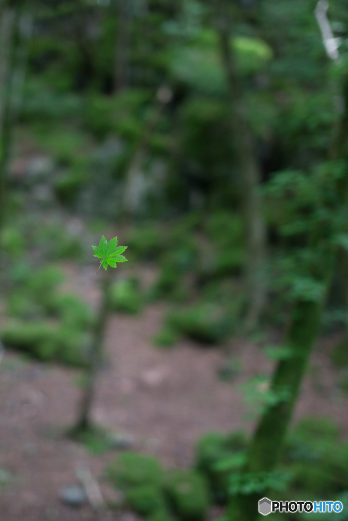 空中浮遊