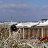 Ｉｔａｍｉ　ＳｋｙＰａｒｋ!!