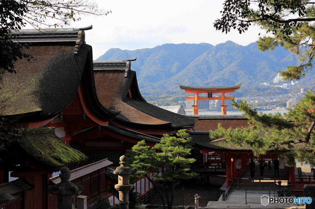  厳島神社 
