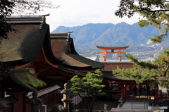  厳島神社 