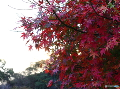 眉山山頂-2