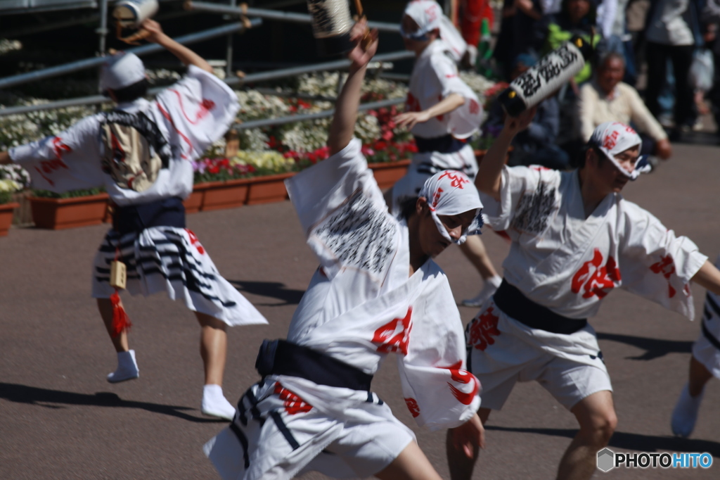 Hanaharu Fes-1