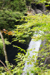 大釜の滝