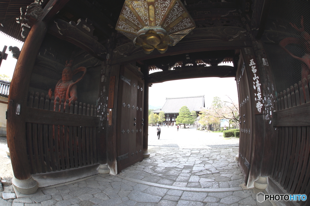 清涼寺！！