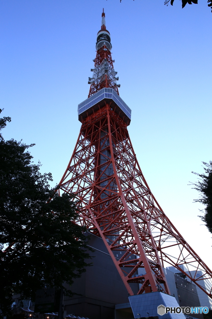 東京タワー