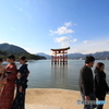 大鳥居と記念写真