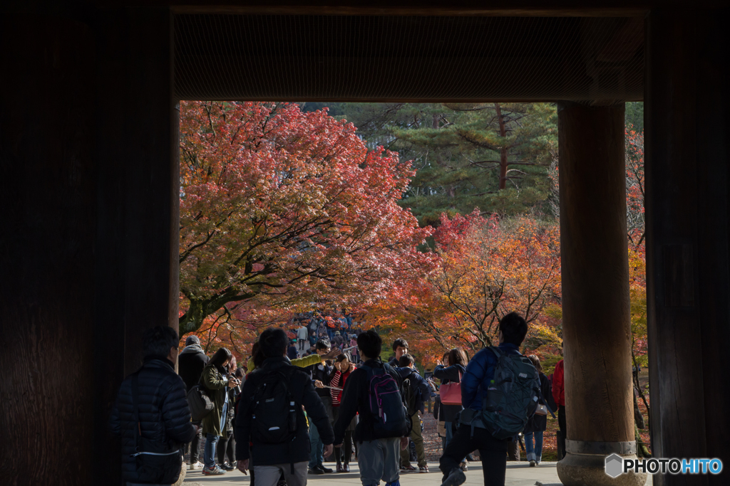 紅葉フレーム