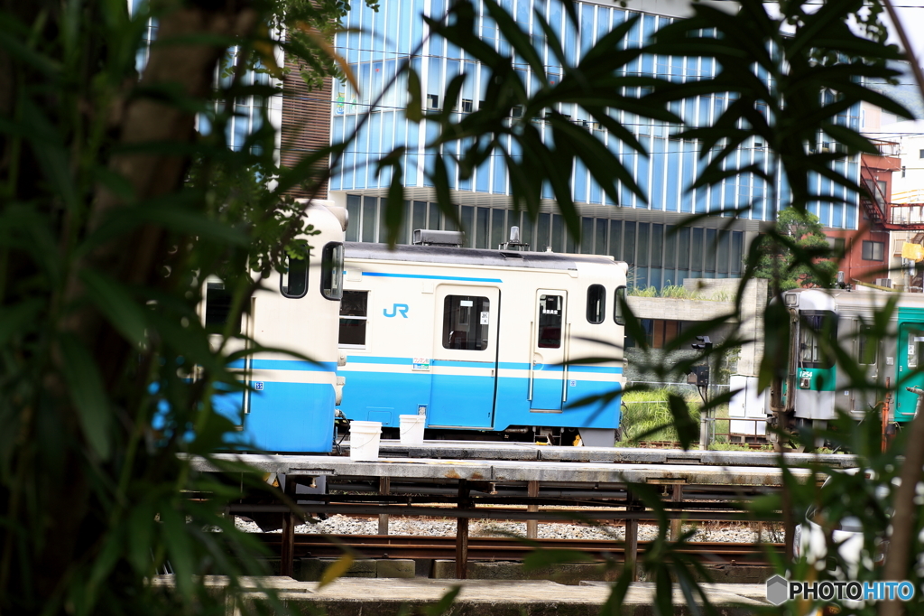 ねこ列車