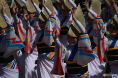 Hanaharu Fes-5