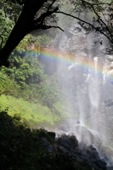 滝壺と虹